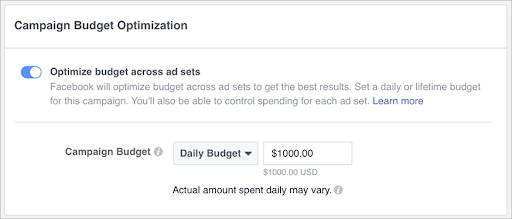 Campaing Budget Optimization